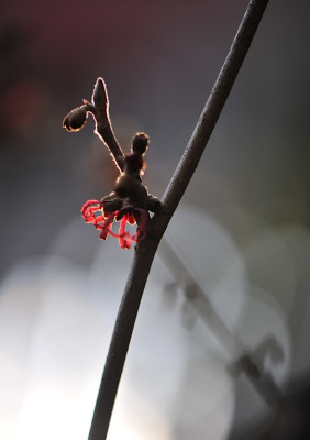 Januar_2013.jpg