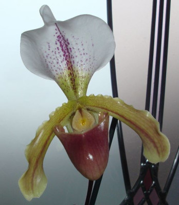 k-DSC06492.JPG
