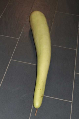 K640_IMG_0641.JPG