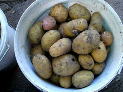K640_K800_BILD9124.JPG