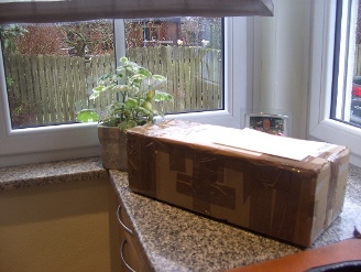 BILD0445.JPG