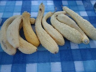 Noppenzucchinis.jpg