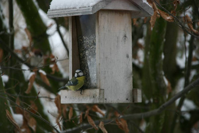 verkleinert-Jan.0113.jpg
