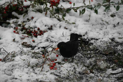 Jan.0913.jpg