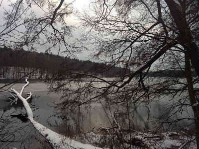 winter_20130113_zg.jpg