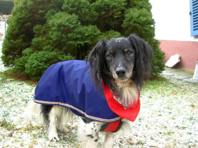 Dickie_15.01.13.jpg