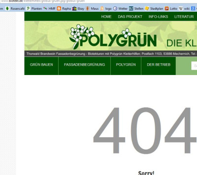 netztOK.jpg