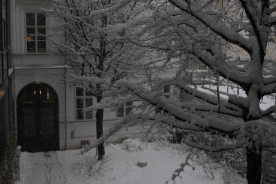 schneewien.jpg