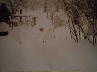 alte_Schneebilder_04.03.06_001.JPG