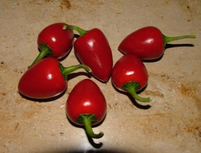 Cherry_Bomb-Fruchte_2012.jpg