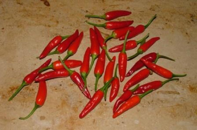 Peperoni-Fruchte_2012.jpg