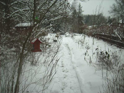 Garten_20012013.jpg