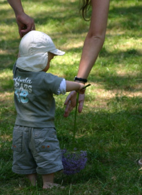 Bingerden-Juni-7.jpg