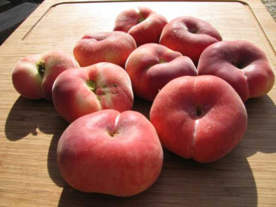 K640_IMG_0851.JPG