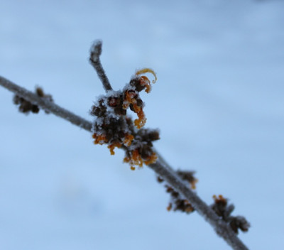tg_130126_8.jpg