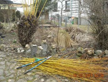 03_16_weidenschnitt.jpg