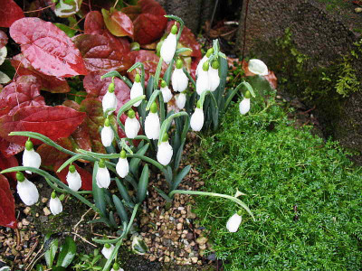 Backhouse_Spectacles_..__30.1.13._012.jpg