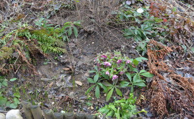 Gartenteil_13__0018.jpg