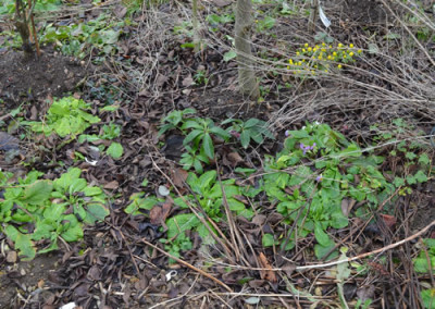 Gartenteil_2_13__0019.jpg