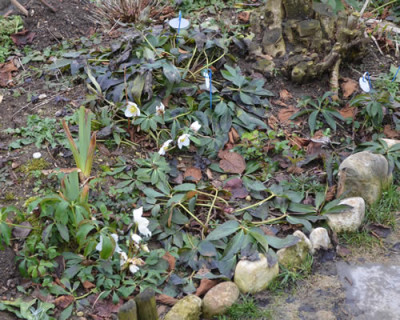 Gartenteil_3_13__0036.jpg
