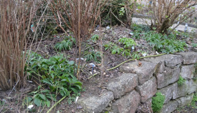 Gartenteil_4_13__0023.jpg