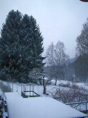 Schnee_8.2.13.jpg