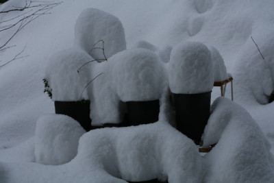 Schnee_von_gestern.jpg