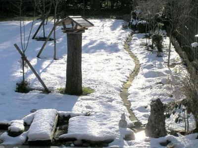 schnee100213kl.jpg
