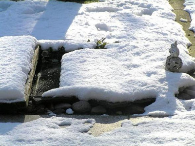 teich130213.jpg