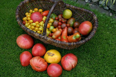 August1108a.jpg