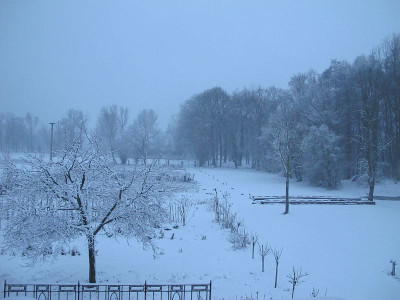 Morgen_19.2.13_ue.jpg