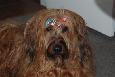 C5653_Small.JPG
