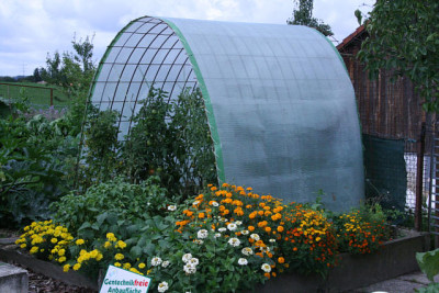August0411c.jpg