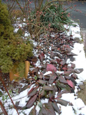 oschberg_20.02.13_010.JPG