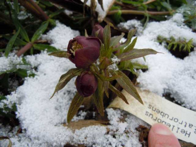 asche_20.02.13_013.JPG