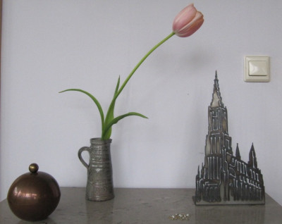Franzosische_Tulpe.jpg