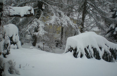 Wetter_2013-02-24_Schnee.jpg