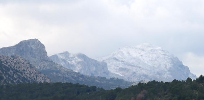 Fensterblick_13-02-24.jpg