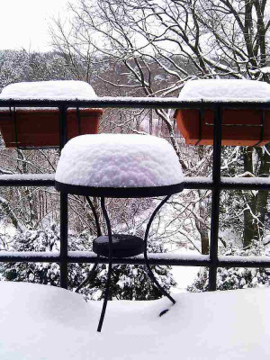 Schnee_25.02.13.jpg