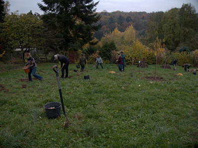 grabeparty_nov_2012.jpg