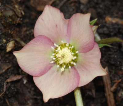C5694a_Small.jpg