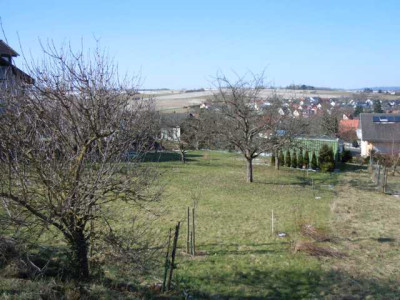 erste_sonne_02.03.13_006.JPG