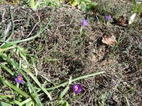 erste_sonne_02.03.13_002_10.JPG