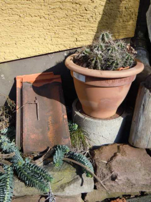 erste_sonne_02.03.13_011.JPG