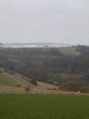 03.03.12_006.JPG