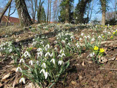Hach3_6.3.13_ue.jpg