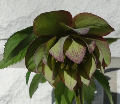 6.Marz_2013_005.JPG