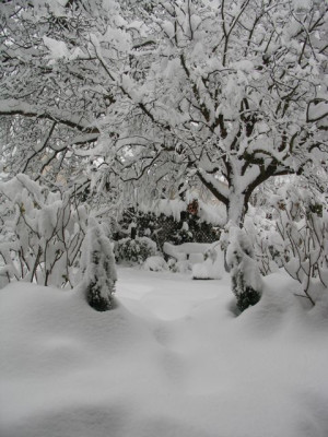 Garten2_060305.jpg