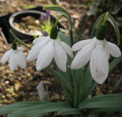 Godfrey_Owen__.._6.3.13._009.jpg