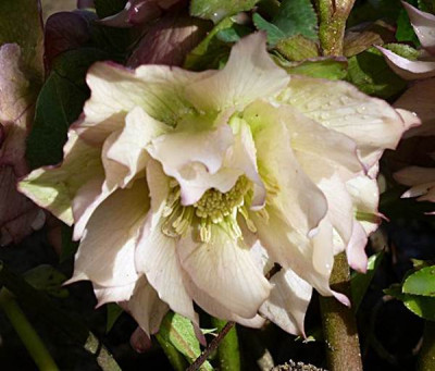 P1020116.JPG